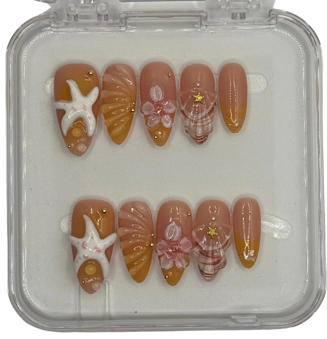 seaside shells