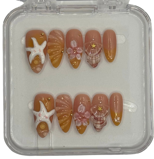 seaside shells